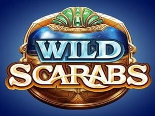 Wild Scarabs thumbnail